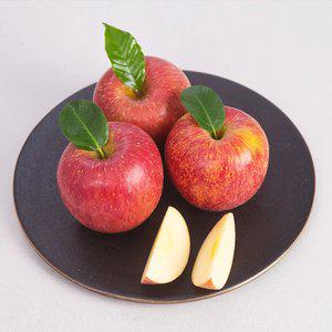 경북 햇부사 정품사과 2kg 5-8과/대과/2세트구입시4.5kg발송