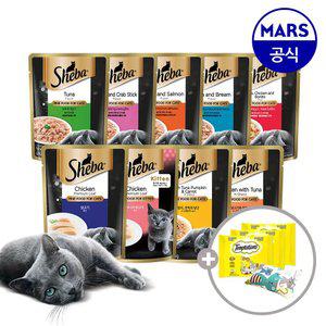 쉬바 파우치 24개 골라담기+캣닢쿠션+템테이션12gx3개