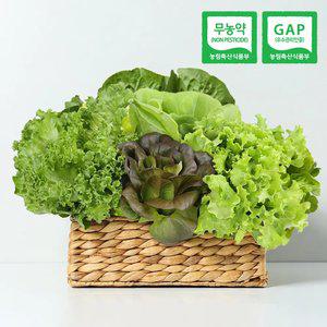 당일수확 국내 재배 샐러드 채소 1kg(3~5종랜덤구성) / 부여굿뜨래