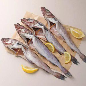 [내일도착] 명태코다리(4미/중/코)x2팩