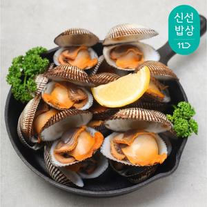 남해안 피꼬막 3kg / 2025년 햇 출하