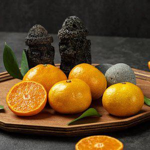 제주출하 달콤한 햇 조생감귤 4.5kg