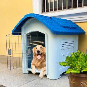 실외 견사 중형 대형 개집 진돗개 반려견 하우스