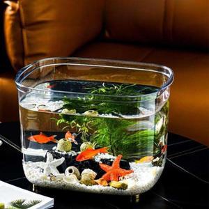 금붕어어항 소형 사각 거북이 구피 가정용 PET 고투명 어항