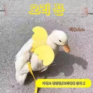 티류으스 오리 목줄 닭 거위 조류 산책 야외 하네스 애완 동물 훈련 리드 끈 외출