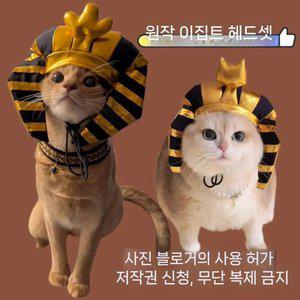 고양이 파라오모자 강아지 이집트 왕 투탕카맨 변장 코스튬 엽기 애완견 스핑크스