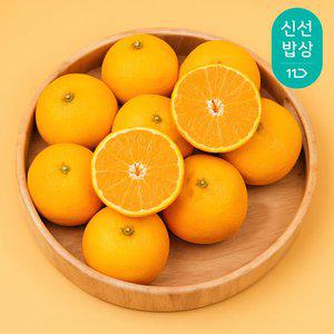 [과일꾼] 신선 향긋한 매력 제주 황금향 정품 2kg 7-15과