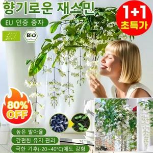 1+1향기가 멀리 퍼집니다강렬한 향의 매달린 재스민 씨앗