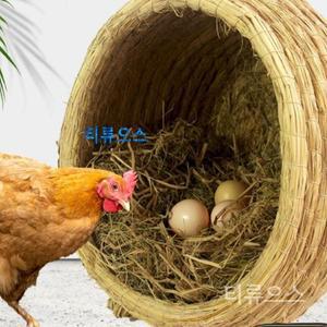 티류으스 산란통 닭 대형 둥지 알집 밀짚 산란장 이동식