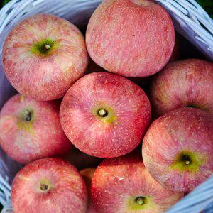 [스윗킹] 아삭달콤 부사사과 가정용 중과 4kg(18과 내외)