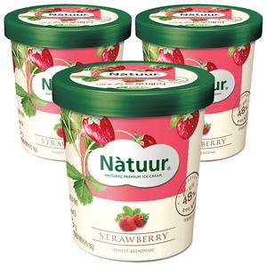 [슈팅냉동] 롯데웰푸드 나뚜루 스트로베리 파인트, 474ml, 3개