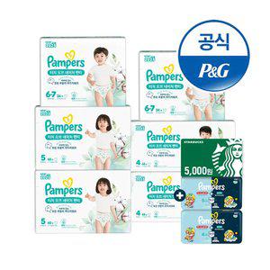 팸퍼스 2025 터치오브네이처 팬티형 기저귀 4 ~ 6단계 6팩 (총2박스)+스타벅스+체험팩
