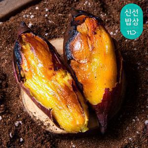 [품질보장] 25년 갓 수확 해남 꿀 밤고구마 특상 3kg