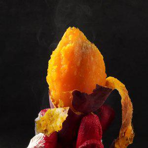 25년 호박고구마 호풍미 꿀고구마 베니하루카 고창5kg 3kg 키로