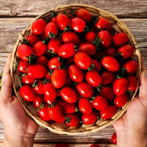 [헤이달다]마트납품용 대추 방울 토마토 2kg(4-5번) 마감임박