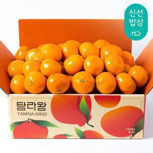 [탐라왕]조생귤 첫수확 4.5kg 찐한 달콤함