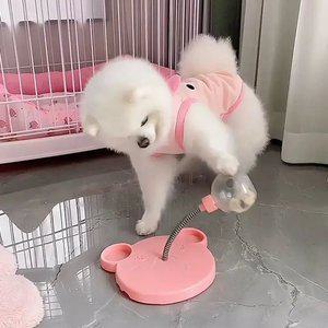 노즈워크 강아지 훈련장난감 흔들 스프링 훈련 장난감 볼 재미 흥미 간식 반려동물 셀