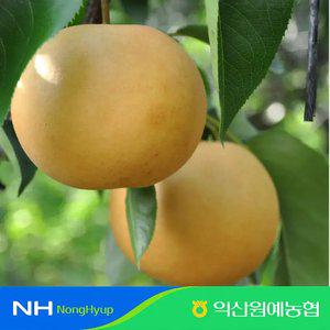 익산원예농협 고당도 신고 배 4kg (특상, 8~12과)