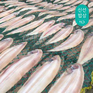 [품질보장]군산 황금 서대 반건조 박대 초대왕 33-35cm(10미)