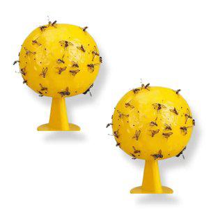 살림살림 옐로우 해충 끈끈이 초파리 박멸 트랩