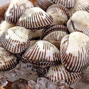 [더주] 해감 걱정 없이 바로 조리하는 벌교 새꼬막 2kg(중품)