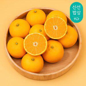 [과일꾼] 신선 향긋한 매력 제주 황금향 정품 5kg 14-40과