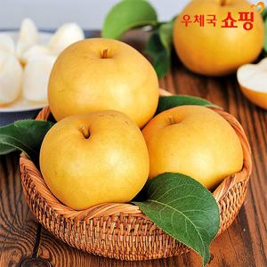 [우체국쇼핑] 안영일님 25년 햇 나주배 가정용 3kg 5kg