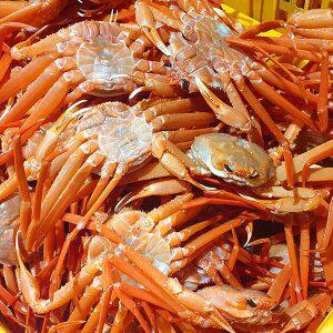 포항 구룡포 프리미엄 박달홍게 A급 3kg 9-11미 수율 80-90% (자숙)