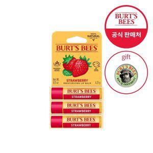 버츠비 립밤 트리오(택1)