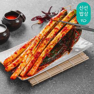 전라도할매 국내산 프리미엄 대파김치 2kg