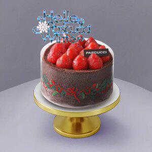 [파스쿠찌] WINTER 오! 마이 초코(홀)