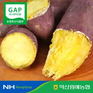 [T감사제]익산원예농협 국내산 익산 세척 꿀 고구마 특상 3kg