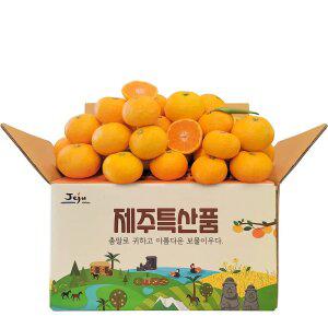 제주 노지조생 감귤 4.5kg 중대과(L/2L)