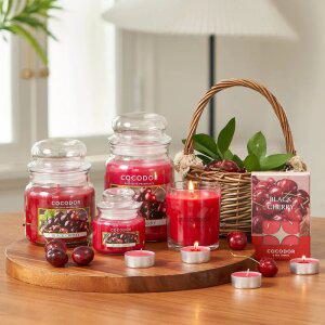 코코도르 라지자 캔들 X 2개 I 홈인테리어 겨울 인기아이템 실내조명