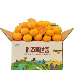 제주 노지조생 감귤 4.5kg 중과(M/L)