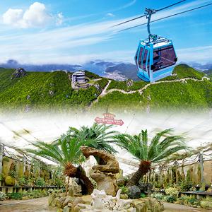 거제케이블카+자연예술랜드(~12.31)/거제여행/여행필수코스/외도/통영케이블카/포로수용소/정글돔/바람의제트보트/패키지/남해여행/명소/정원