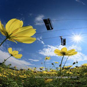 카메라랜즈 Canon 디지털 SLR 카메라 EOS Kiss X7i 렌즈 키트 EF-S18-135mm F3.5-5.6 IS STM 포함 KISSX7I-