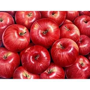 [RGL547PS]부귀 홍사과 캔버스 보석십자수 40x50