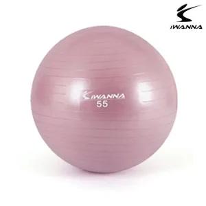 [셀러허브 패션][JHQRMR0O_4B]아이워너 짐볼 55cm 마사지짐볼 (와일드핑크)