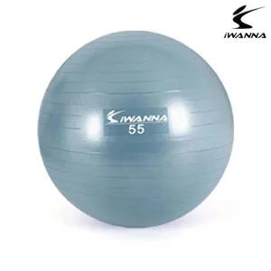 [셀러허브 패션][JHQRMR0P_4B]아이워너 짐볼 55cm (더스티블루)