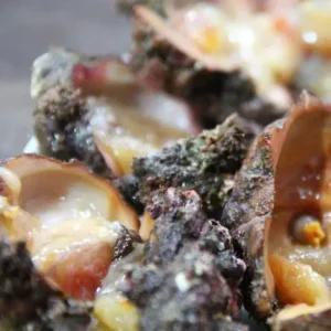 당일조업 자연산 돌멍게 1kg (6~9미) , 돌멍게