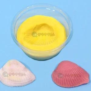 SA) SA 실물조개 화석모형만들기 1인) 과학실험키트 과학실험세트 과학만들기키트