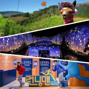 강원 랜드마크 패키지 이용권/전시/아르떼뮤지엄/액티비티/알파카월드/런닝맨/동물원/놀이공원/찜질방