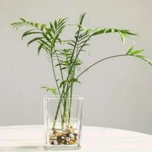 꽃화병 유리꽃병 화병 꽃병 조화화병 카페화분 12x12x30cm 사각