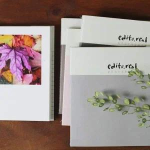 초음파사진앨범 감성 포토 앨범 5권 세트 1P 사진 작품집 기념일 선물