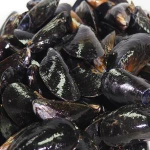 당일채취한 생홍합2kg 통영