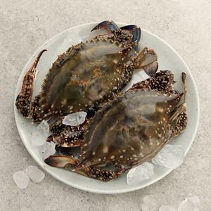 [보령수협] 국내산 봄 꽃게(급냉) 2kg(7-8미)