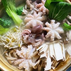 실속형 볶음용 냉동 쭈꾸미 8마리 400g 내외