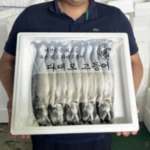 부산 다대포 대짜 자반 고등어 10미