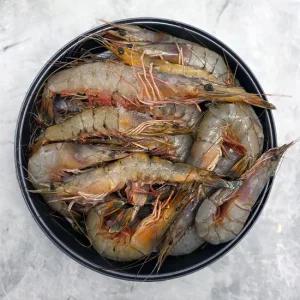 서해안 자연산 대하 1kg (28-30미내외, 급냉)